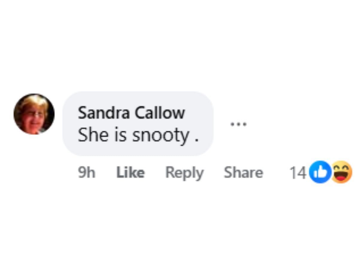Comments by fans on the post (Image via Facebook/@Janet Jacaruso)